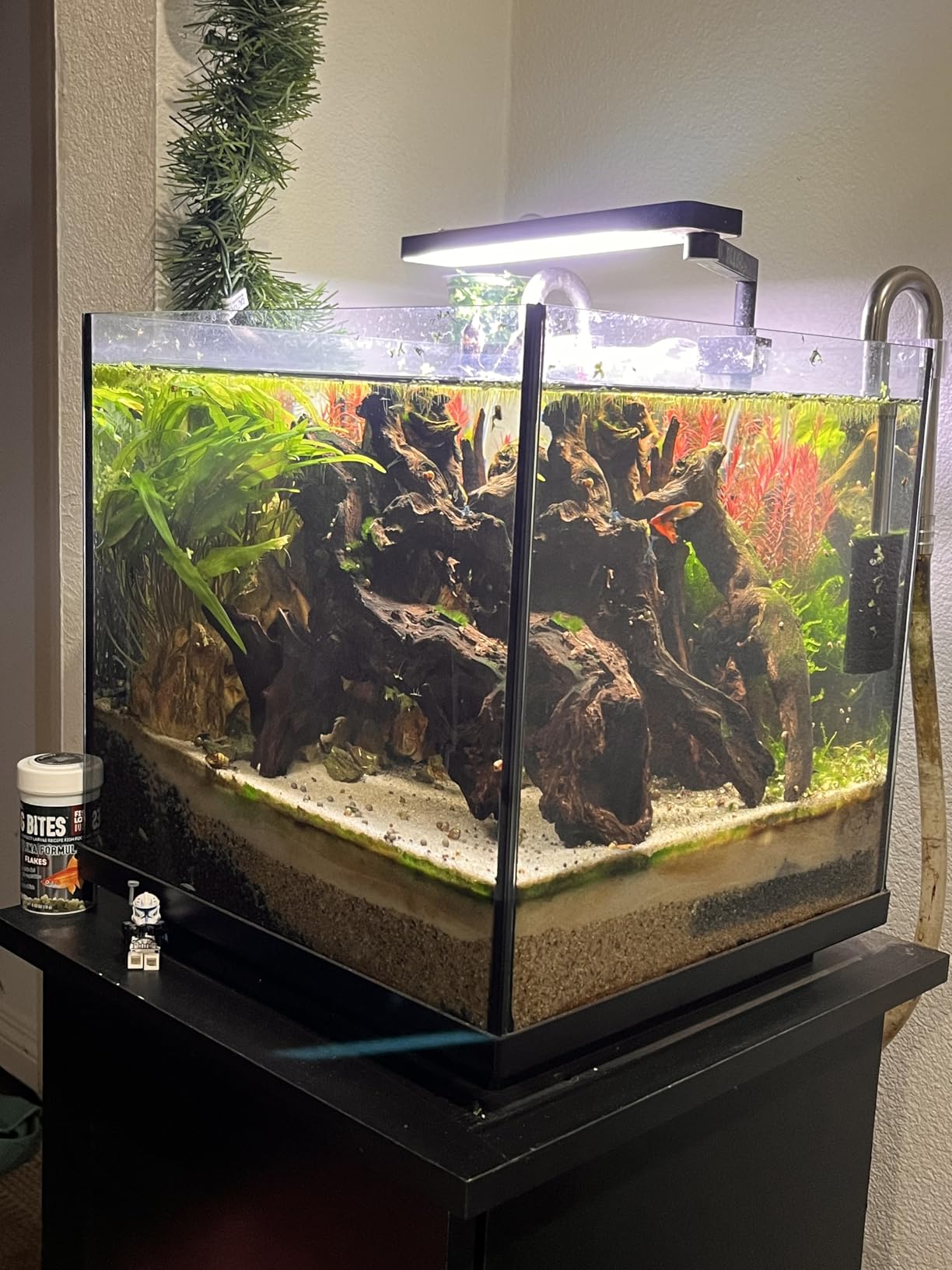 AMOSIJOY 225GPH Ultra-Quiet Canister Filter, 2-Stage External Aquarium Filter with Free Media for Large Fish Tanks and Aquariums customer photo 2