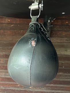 Everlast Speed Punching Bag | Speed Bag for Boxing & MMA | Durable Reflex Training Boxing Bag customer photo 1