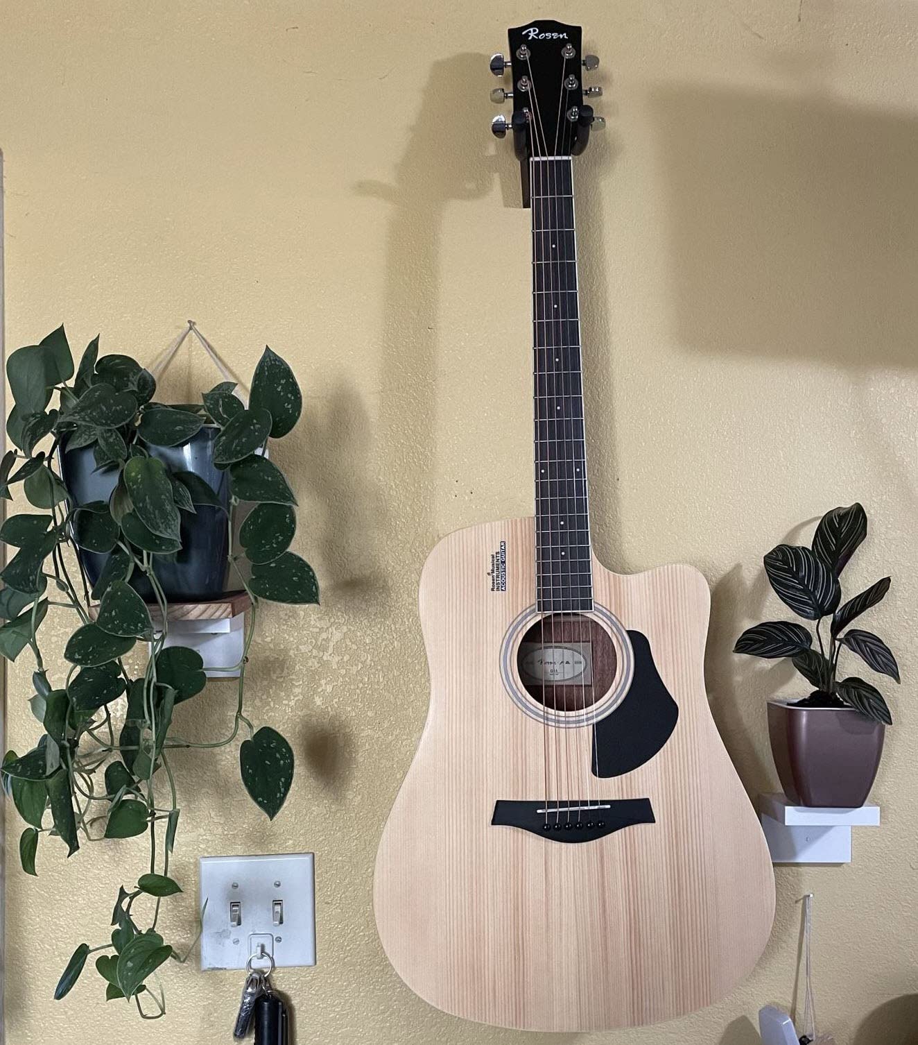 Rosen Solid Top Dreadnought Acoustic Guitar 41 Inches Spruce Guitar Beginner Bundle with Book, Padded Bag, Strings, Picks, Hexwrench, Strap, Polishing Cloth, Blue customer photo 1