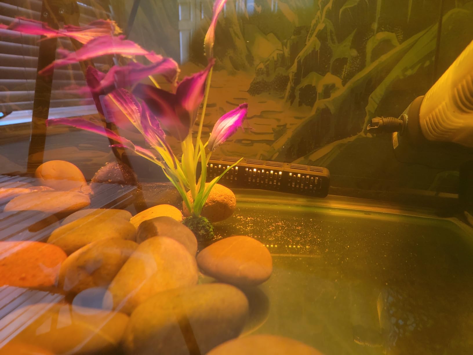 HiTauing Aquarium Heater, 50W/100W/200W/300W/500W Submersible Fish Tank Heater with Over-Temperature Protection and Automatic Power-Off When Leaving Water for Saltwater and Freshwater customer photo 1