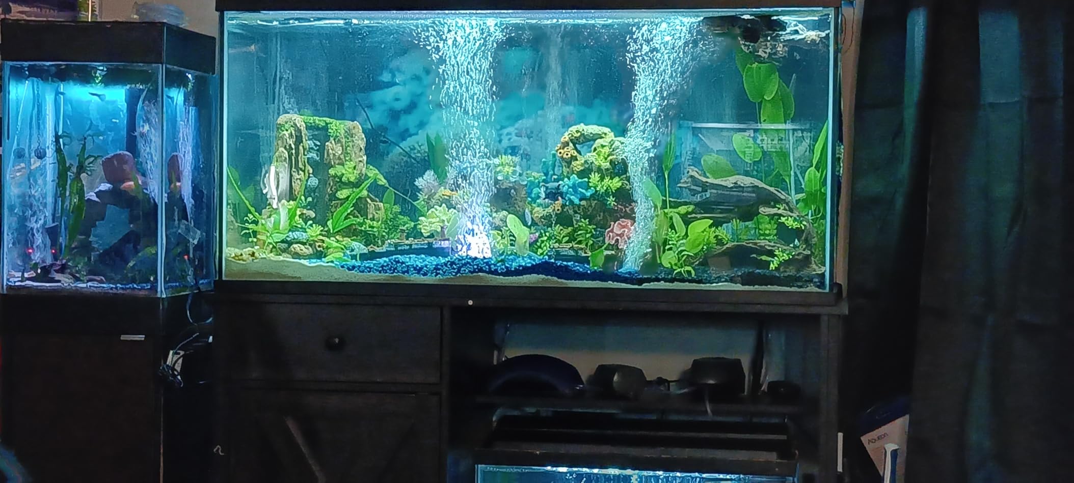 HiTauing Aquarium Heater, 50W/100W/200W/300W/500W Submersible Fish Tank Heater with Over-Temperature Protection and Automatic Power-Off When Leaving Water for Saltwater and Freshwater customer photo 2