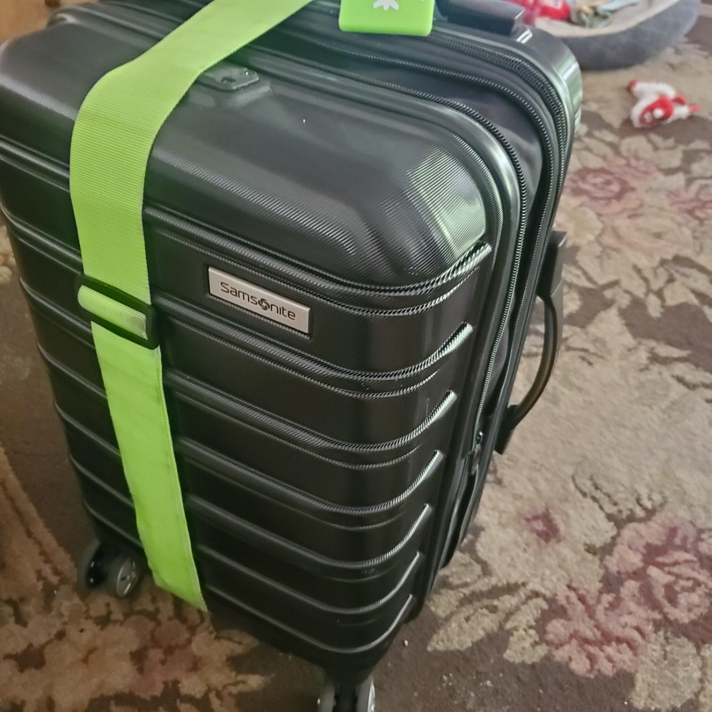 Omni 2 International Carry-On Luggage with 360° Spinner Wheels - Scratch Resistant Hardshell - TSA, Airline-Approved - Expandable Polycarbonate Shell customer photo 2