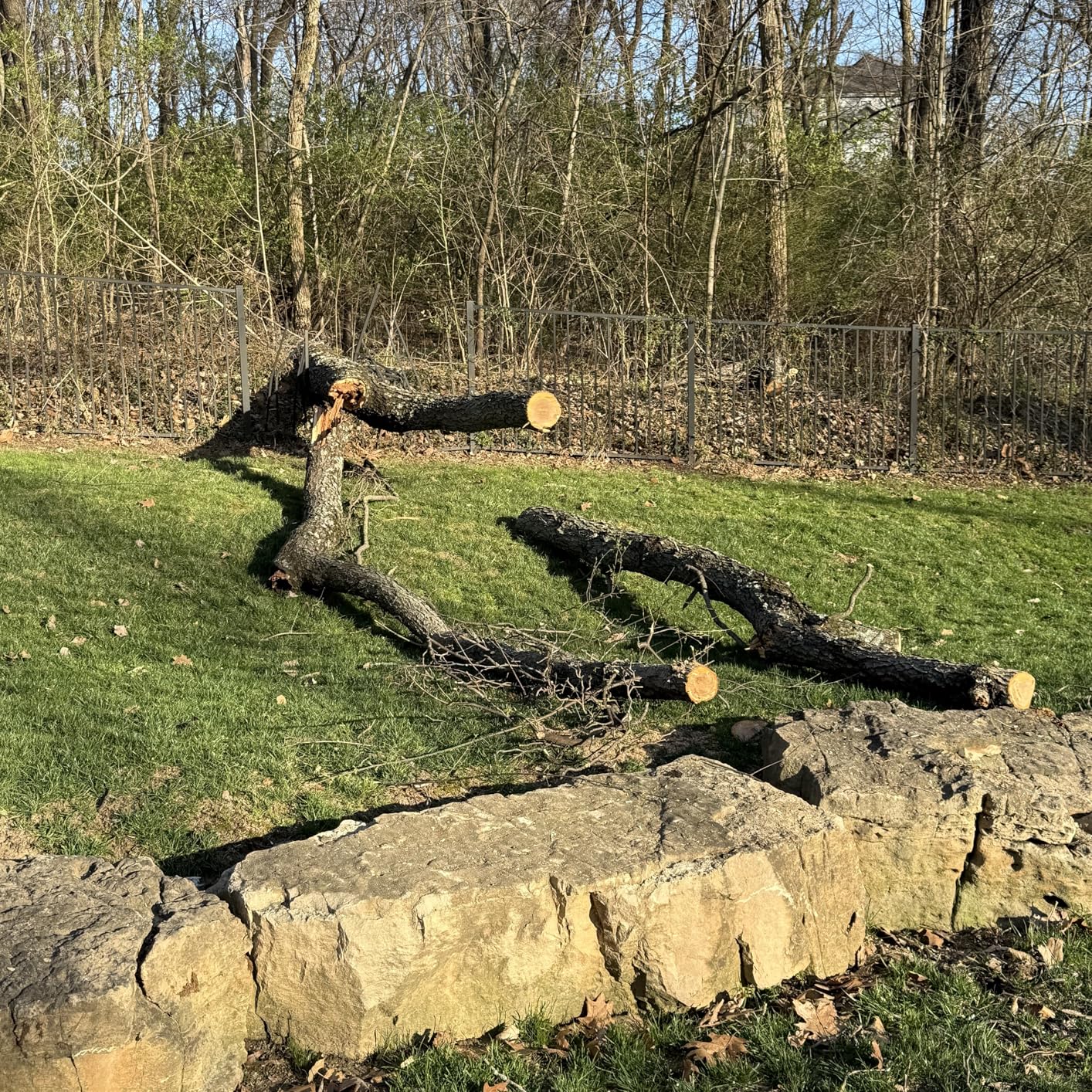 EGO POWER+ Chain Saw, 18