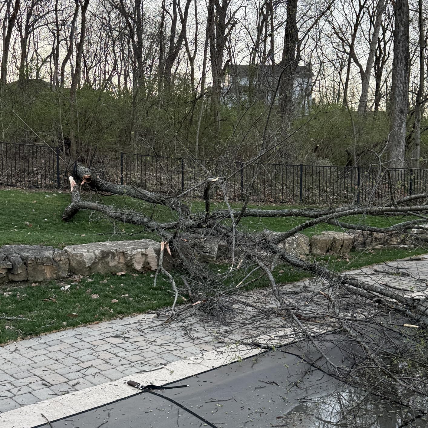 EGO POWER+ Chain Saw, 18