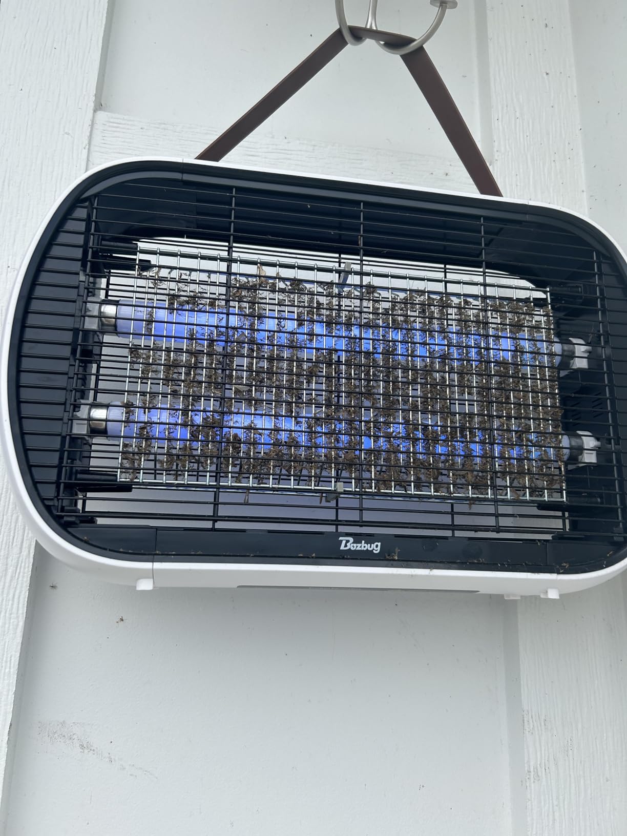 Buzbug Bug Zapper Indoor for 5000 Sq. Ft., 20W Instant Electric Mosquito Zapper, High-Voltage Fly Zapper, Fruit Fly Traps Fly Killer -MA015 customer photo 2