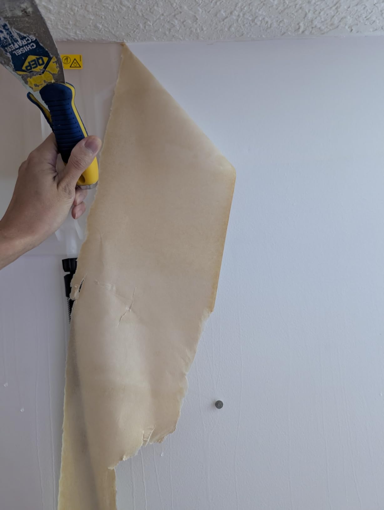 Wagner Spraytech 2439019 725 Wallpaper Steamer, Steam Cleaner for Easy Wallpaper Removal, 2 Steam Plates Included customer photo 2