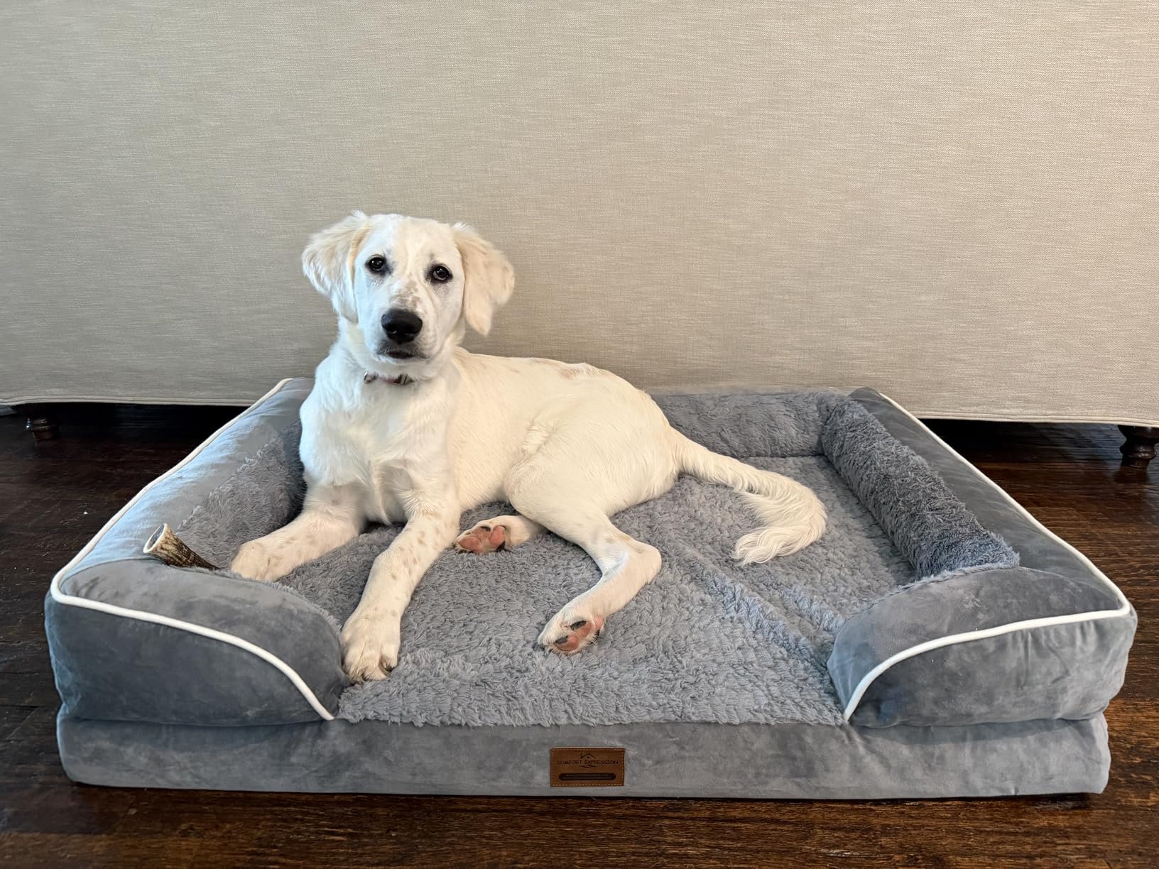 Comfort Expression Orthopedic Dog Bed for Extra Large Dogs 42x30 Inch, Waterproof Egg Crate Foam XL Pet Bed with Removable Bolsters, Dog Couch with Washable Cover & Non-Slip Bottom, Grey customer photo 2