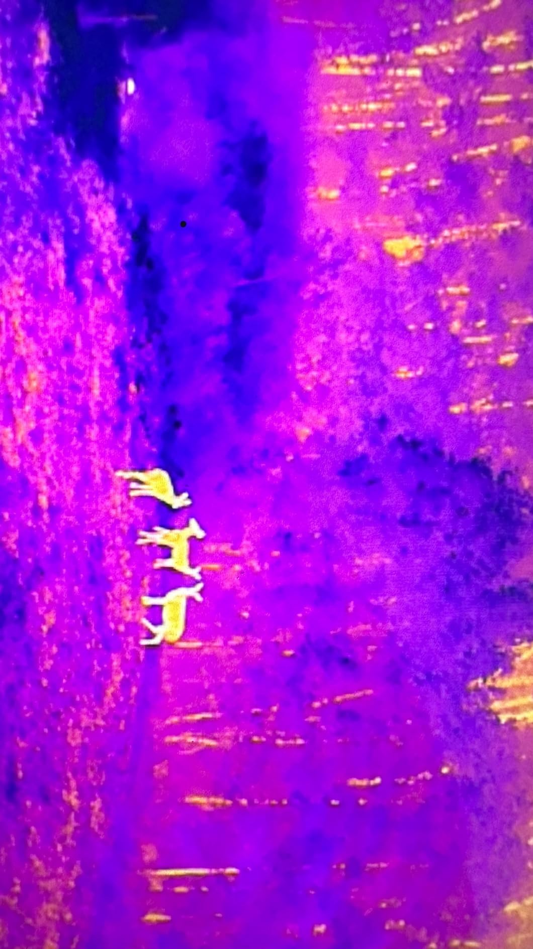 Autel Robotics EVO II Dual 640T V3, 640x512 Thermal Imaging Drone, Remote ID Supported, 0.8'' CMOS 50MP 8K RYYB Sensor, 10+ Temp Measurement, D-RI Ranges, Thermal Analysis Tool, for Search & Rescue/Power Inspection/Public Safety/Hunting customer photo 2