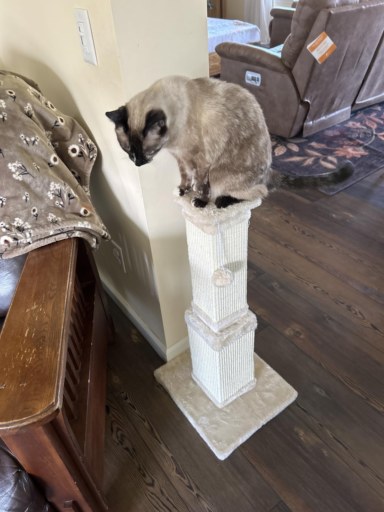 AGYM Cat Scratching Post for Large Cats, Cat Scratcher for Indoor Cats Adults, Sturdy Sisal Scratch Post to Protect Furniture, 32 Inch customer photo 1