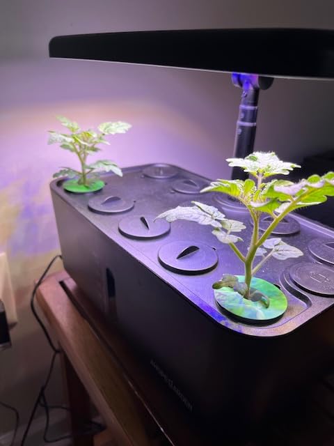 Ahopegarden Indoor Garden Hydroponics Growing System: 10 Pods Plant Germination Kit Herb Vegetable Growth Lamp Countertop with LED Grow Light - Hydrophonic Planter Grower Harvest Lettuce customer photo 1