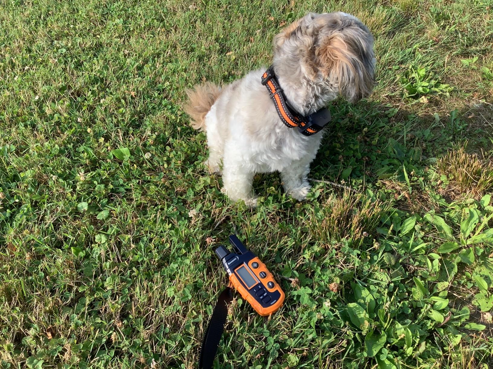 Bousnic Dog Shock Collar - 3300Ft Dog Training Collar with Remote for 5-120lbs Small Medium Large Dogs Rechargeable Waterproof e Collar with Beep (1-8), Vibration(1-16), Safe Shock(1-99) customer photo 2