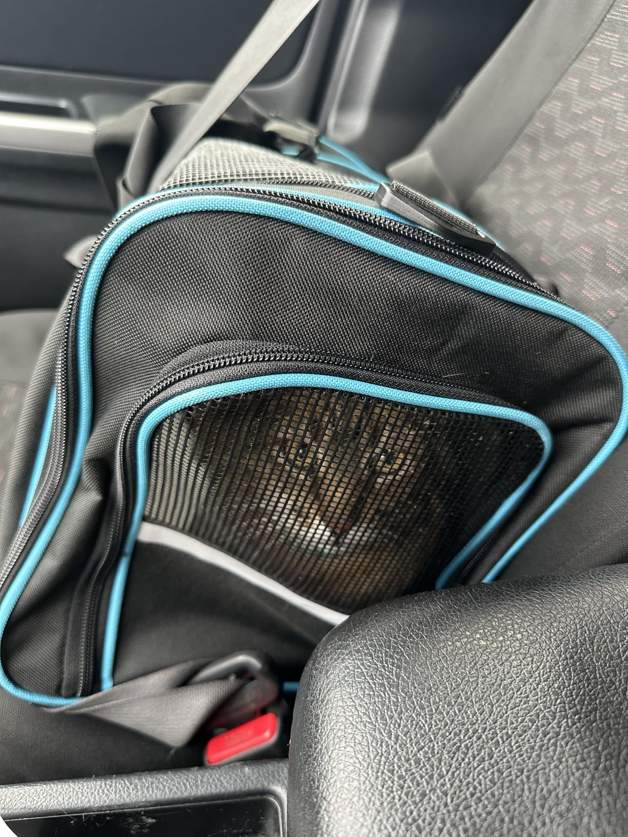 Cat Carrier Pet Dog Carrier Airline Approved for Puppy Kitten Carriers Under 15lb, Collapsible Soft Sided TSA Approved Travel Carrier-Grey customer photo 1
