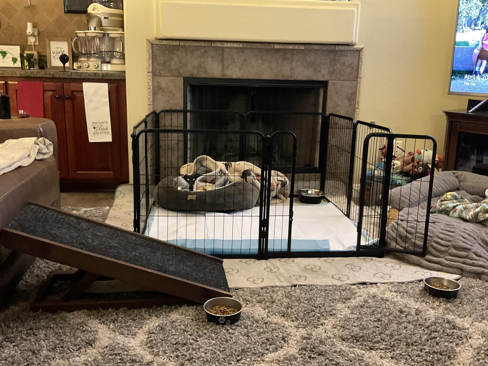 FXW Homeplus Unleashed Indoor Dog Playpen - Stress-Free and Safe Play, Heavy Duty 32 Inch 8 Panels Dog Pen for Small and Medium Dogs, Black customer photo 1