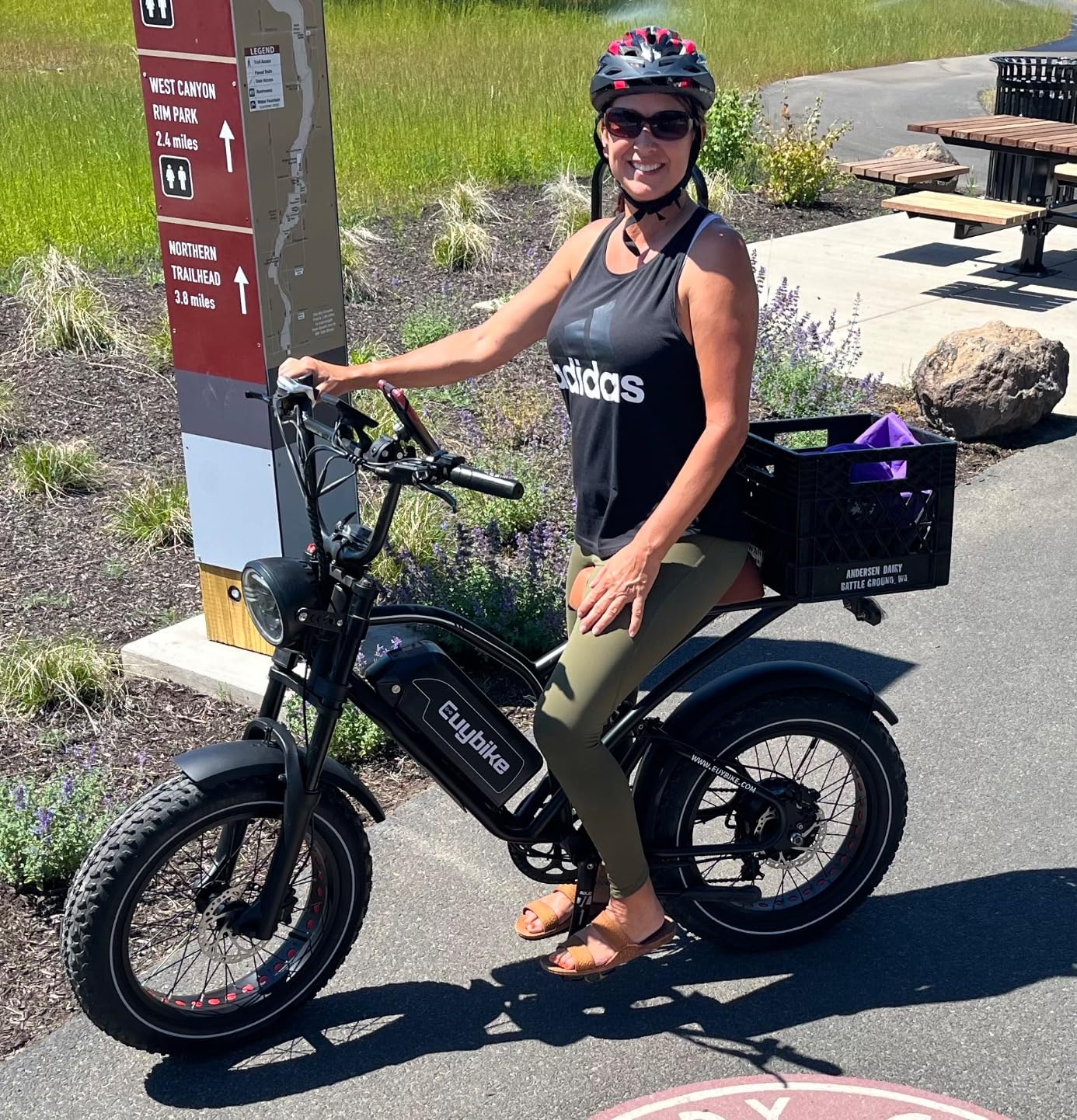 3000W/2000W Dual Motor/Single Motor Electric Bike for Adults, 48V 30AH/25AH Removable Battery Moped Style EBike, 30+MPH & 100 Miles 20
