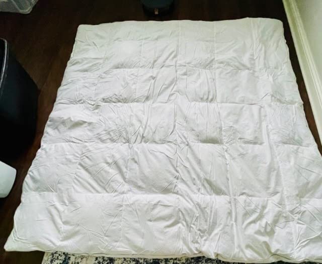 Martha Stewart 3 Inch White Down Feather Mattress Topper - Queen Size Fluffy White Feather Bed Topper 100% Cotton Cover Fabric Ultra Soft Pillow Top Featherbed for Bedroom (60