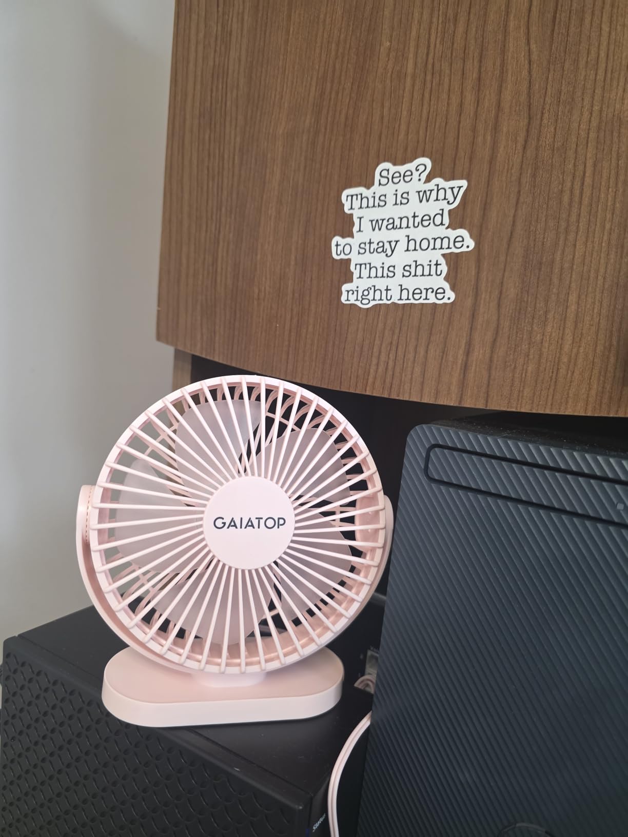 Gaiatop USB Desk Fan, 5.5 Inch Small Quiet Powerful 3 Speeds 90° Rotate, Personal Mini Portable Desktop Table Fans, Cooling for Home Office Car Travel Indoor Outdoor Pink customer photo 1