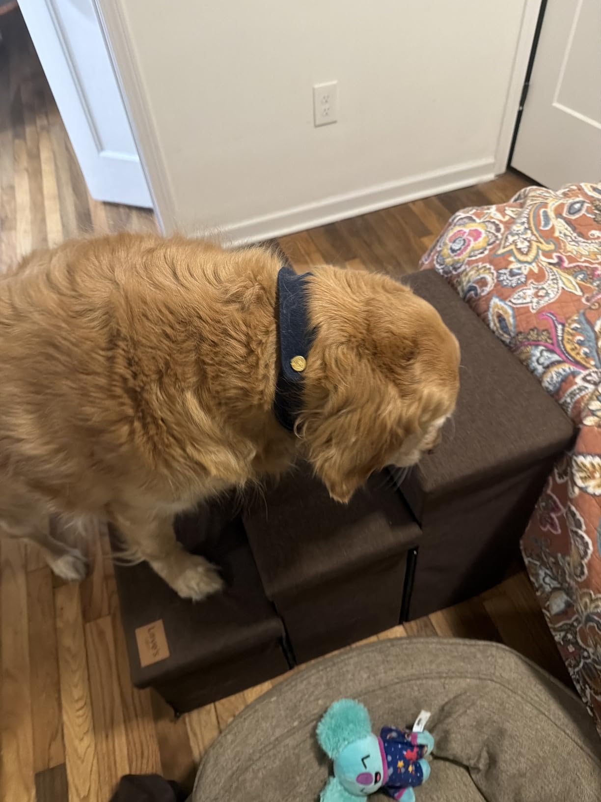 Love's cabin Dog Stairs for High Bed 18