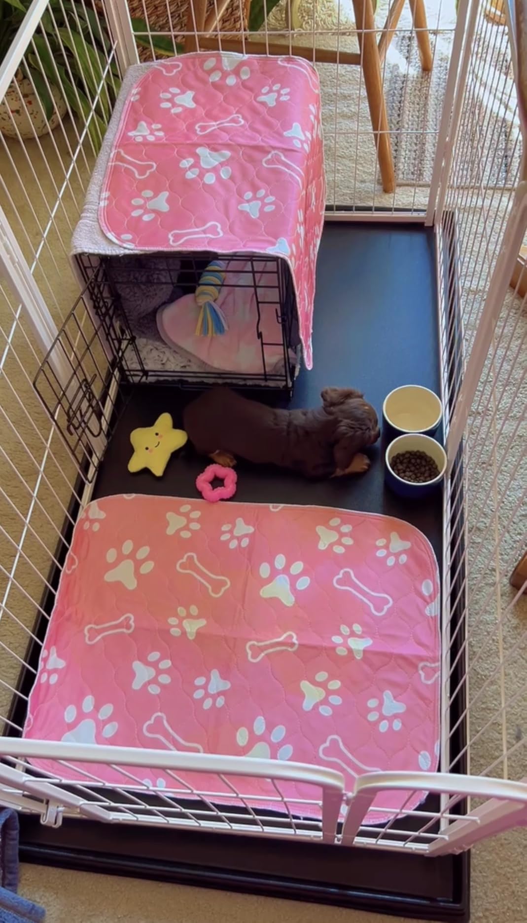 FXW Homeplus Unleashed Indoor Dog Playpen - Stress-Free and Safe Play, Heavy Duty 24 Inch 6 Panels Dog Pen for Puppy and Small Dogs, Black customer photo 1