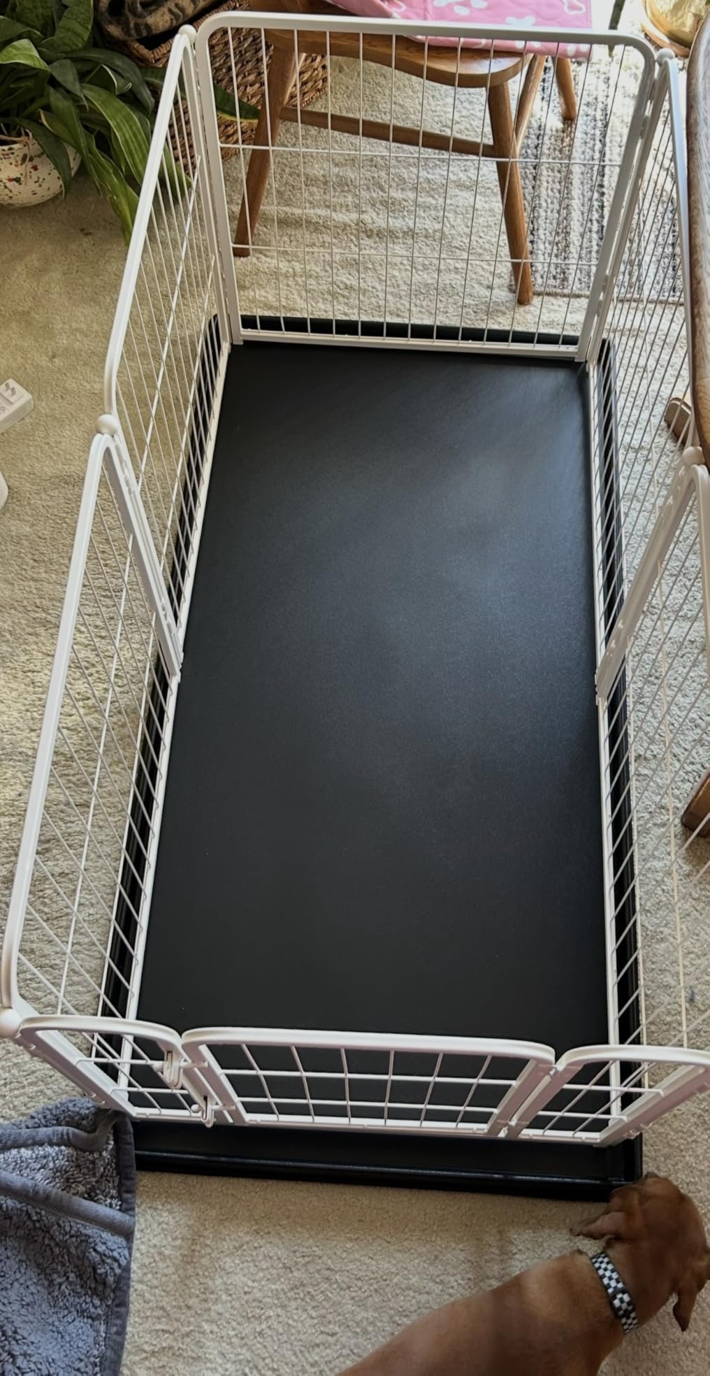 FXW Homeplus Unleashed Indoor Dog Playpen - Stress-Free and Safe Play, Heavy Duty 24 Inch 6 Panels Dog Pen for Puppy and Small Dogs, Black customer photo 2