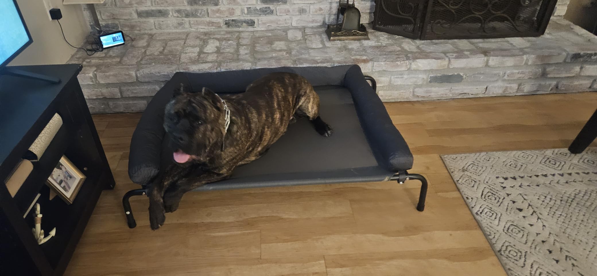 WESTERN HOME Cooling Elevated Dog Bed for Large Dogs, Portable Indoor & Outdoor Raised Dog Bed with Breathable Mesh, Chew Proof Pet Hammock Cots with Removable and Waterproof Bolsters customer photo 2