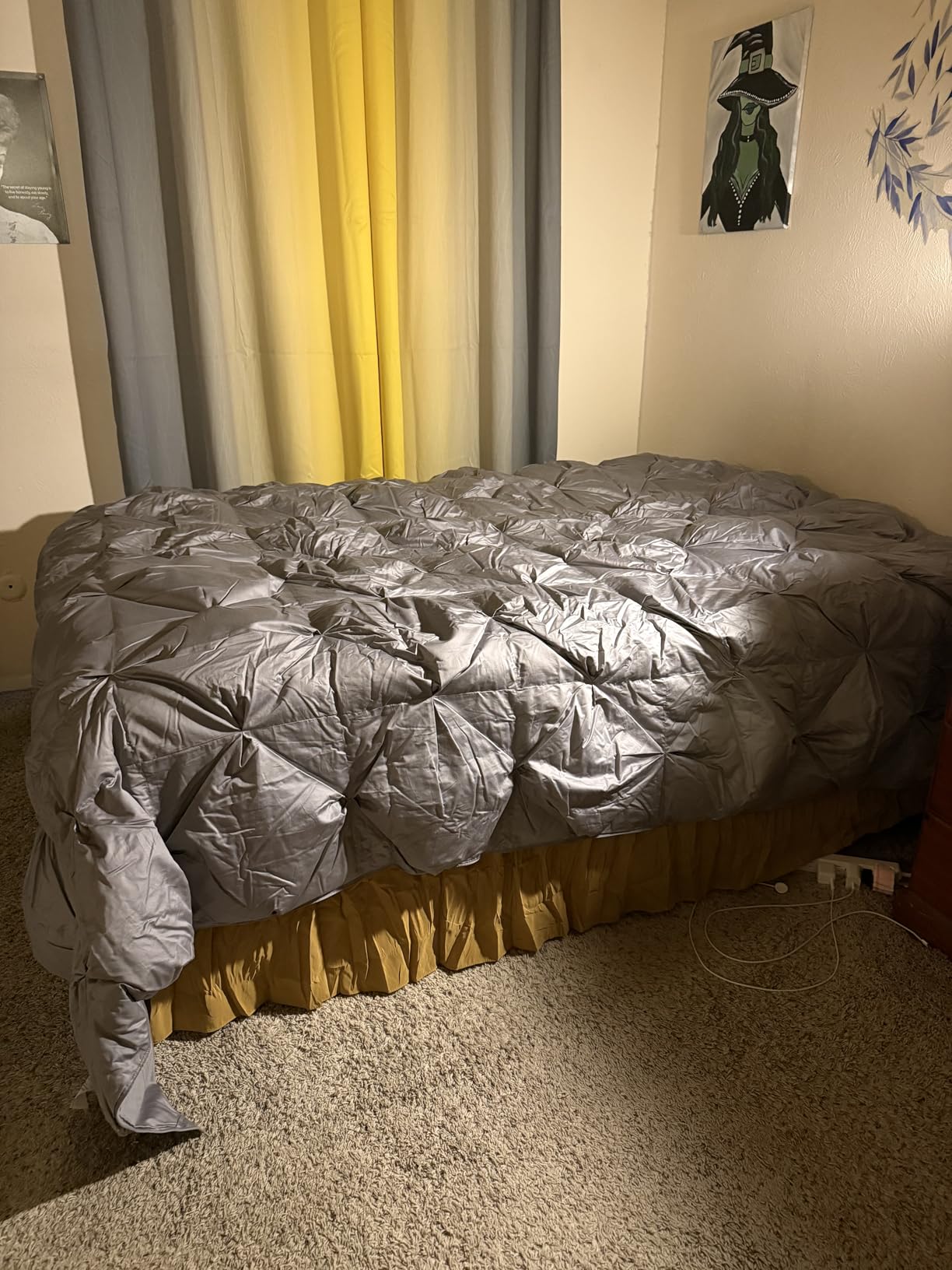 puredown Goose Down Comforter Oversized King Size - 93% Goose Down Winter Duvet Insert, 800 Fill Power Heavyweight Cloud Fluffy Pinch Pleat Extra Warmth Comforter, 700 Thread Count customer photo 1