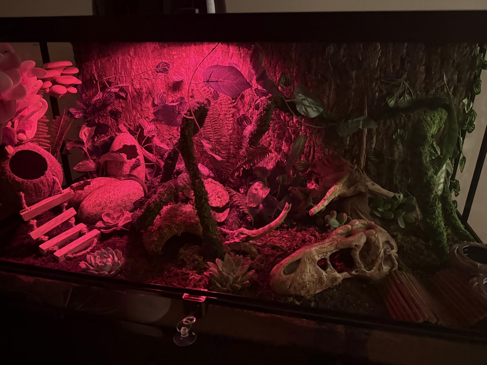 REPTI ZOO Reptile Tempered Glass Extra-Long Terrarium Habitats 48