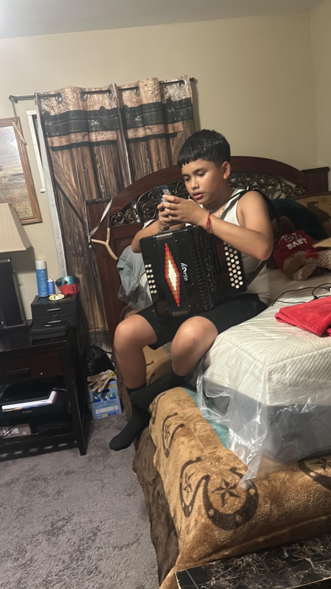 Horse 31 Key Accordion, 12 Bass 3-Row F/B/E Diatonic Accordions for Adults with Case, Gloves, Cleaning Cloth, Oversleeves, and Straps customer photo 1