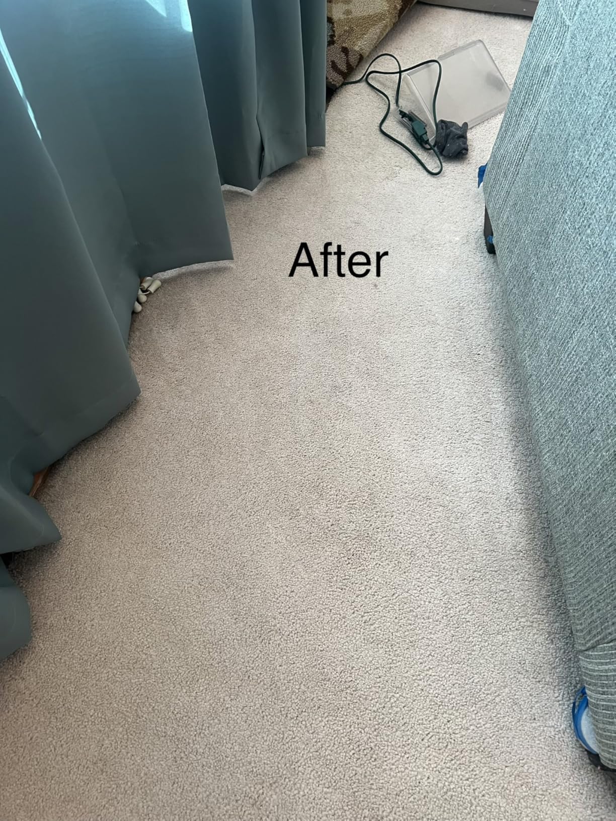 Hoover PowerDash Pet+ Compact Carpet Cleaner Machine, Lightweight Carpet Shampooer Machine customer photo 2