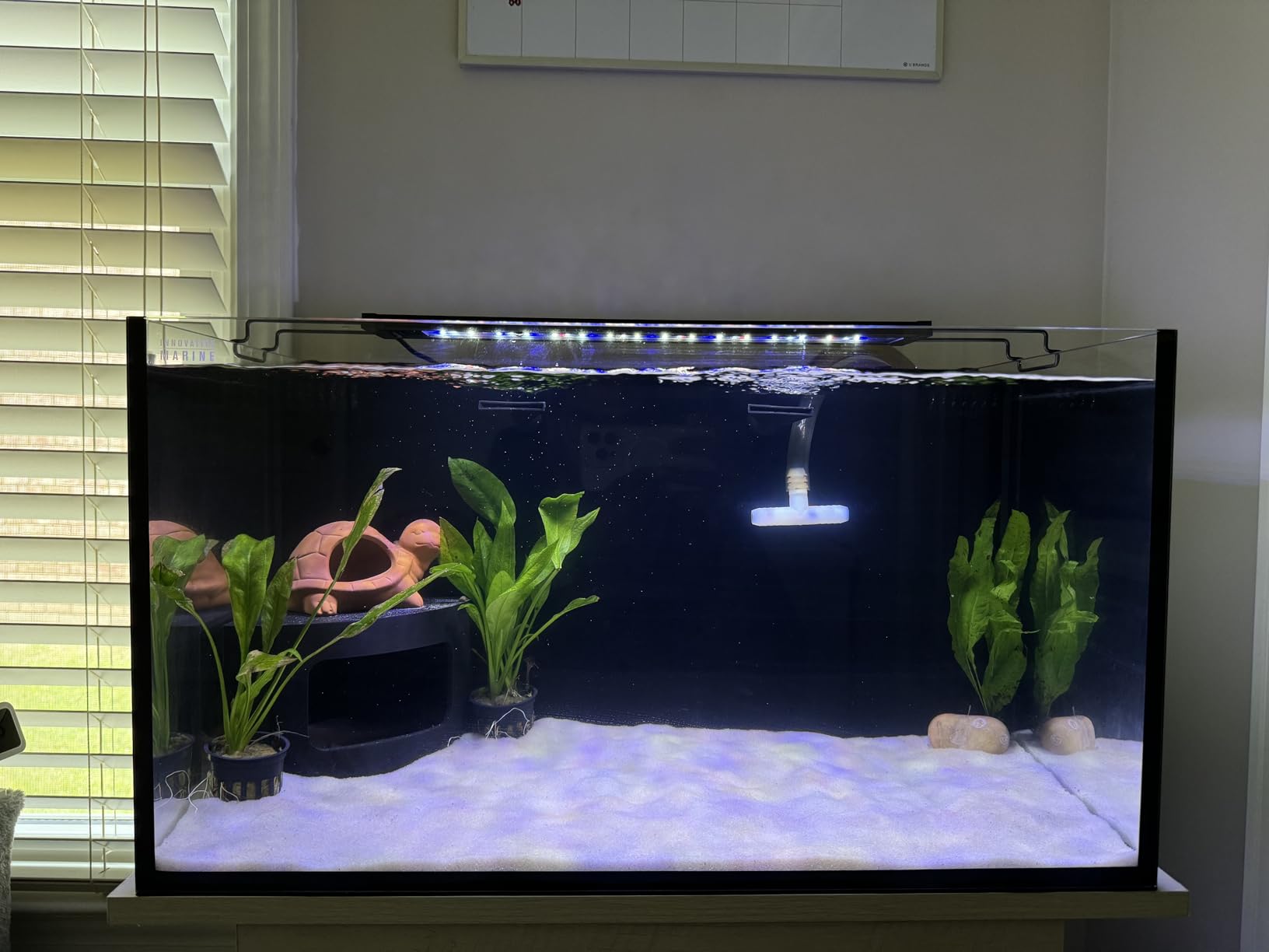 BAOSHISHAN 42gal Aquarium Chiller, 1/10 HP Axolotl Cooler, Special Quiet Design Refrigeration Compressor for hydroponics, Coral Reef, Fresh & Sea Tank (42gal/160L) customer photo 1