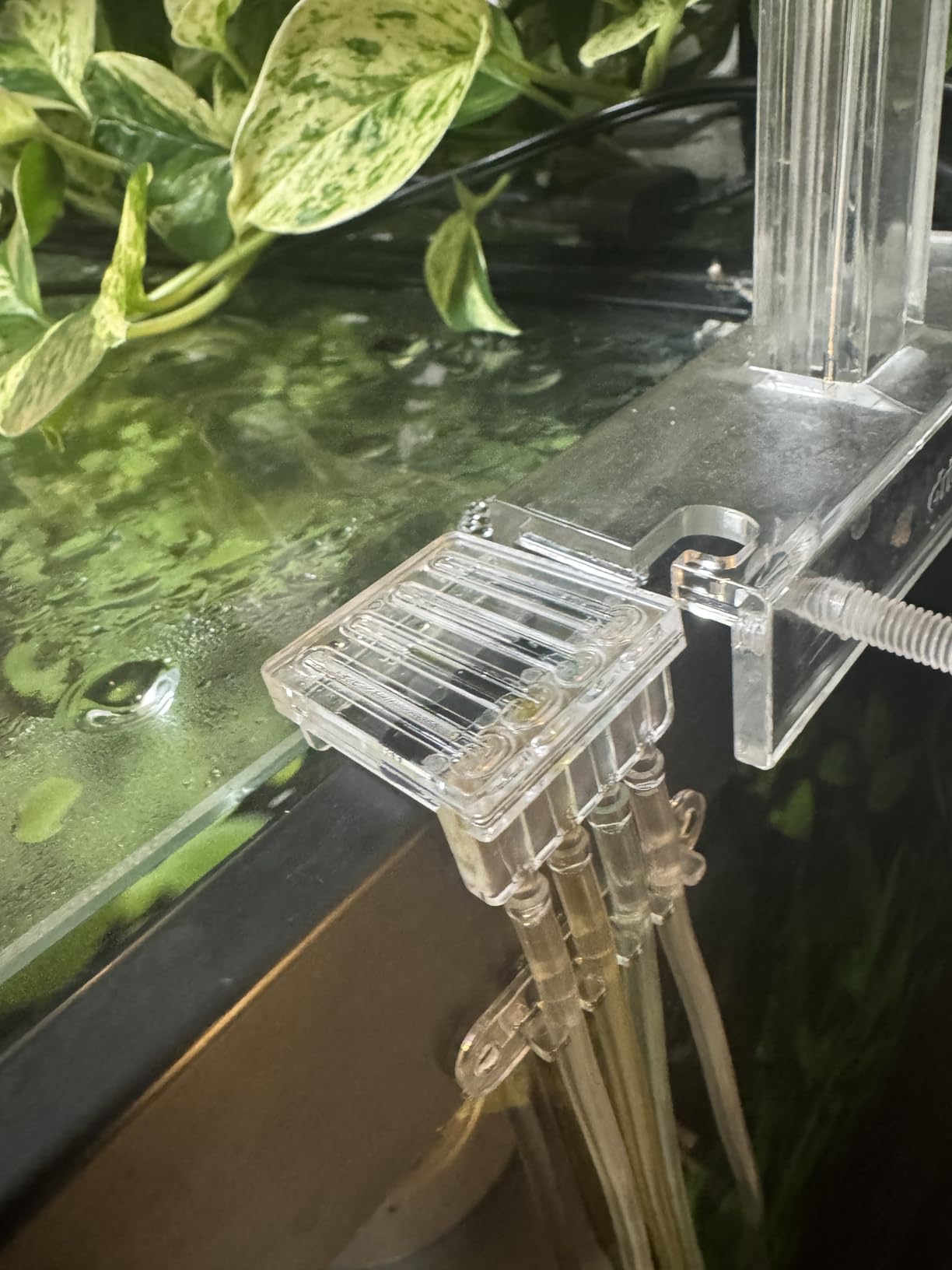Chihiros Dosing Pump System - 4-Channel Automatic Aquarium Doser with Smart App Operation for Precision Nutrient Delivery customer photo 2