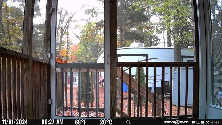 SPYPOINT Flex G-36 Twin Pack Cellular Trail Camera, 36MP Photos and 1080p Videos with Sound, GPS Enabled, Dual-Sim LTE Connectivity, 100' Flash & Detection Range, Responsive Trigger up to .3S customer photo 2