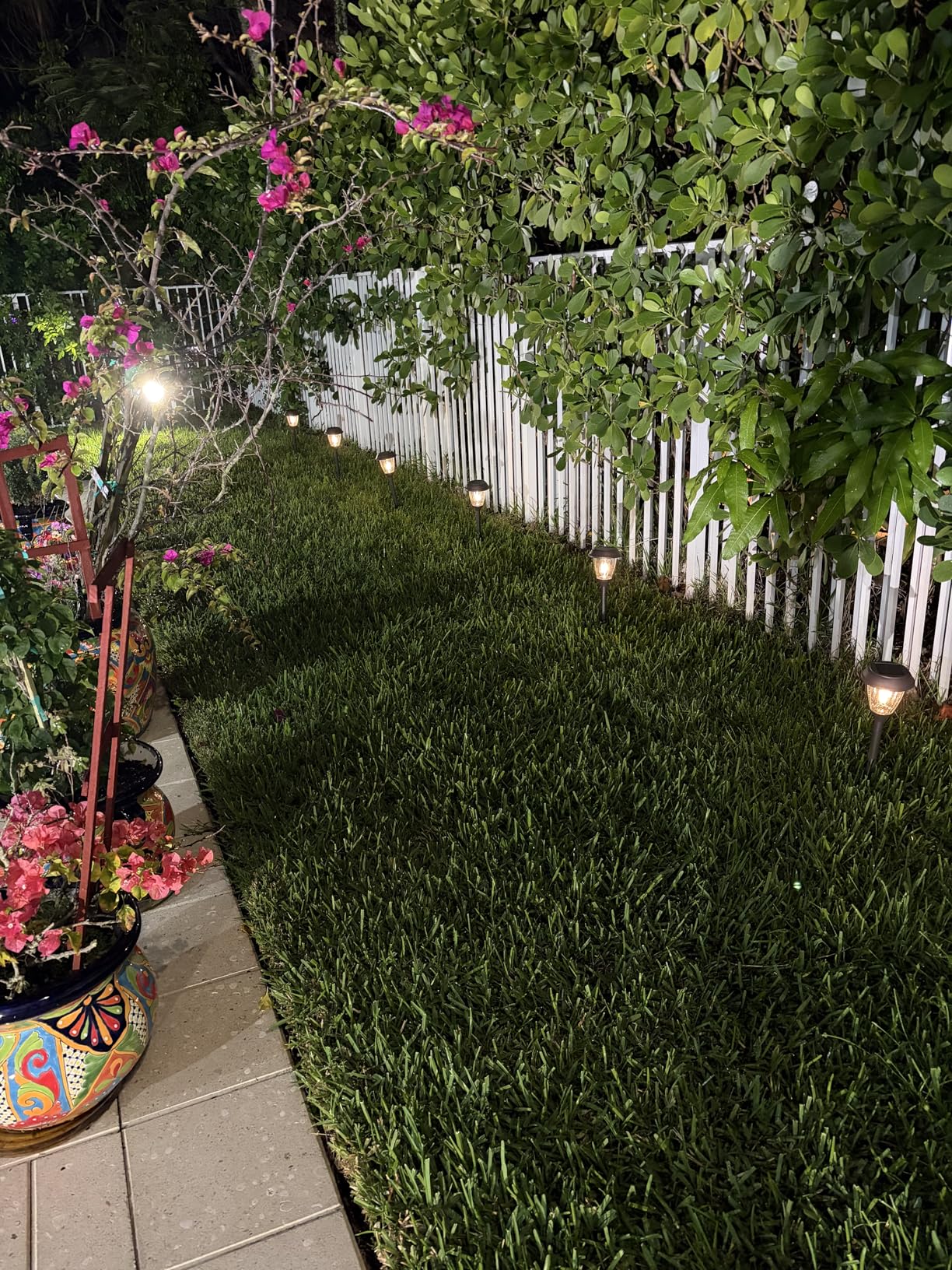 XMCOSY+ Solar Pathway Lights Outdoor, Glass & Stainless Steel Garden Lights with 2 Lighting Modes (10/25 LM), IP65 Waterproof customer photo 1