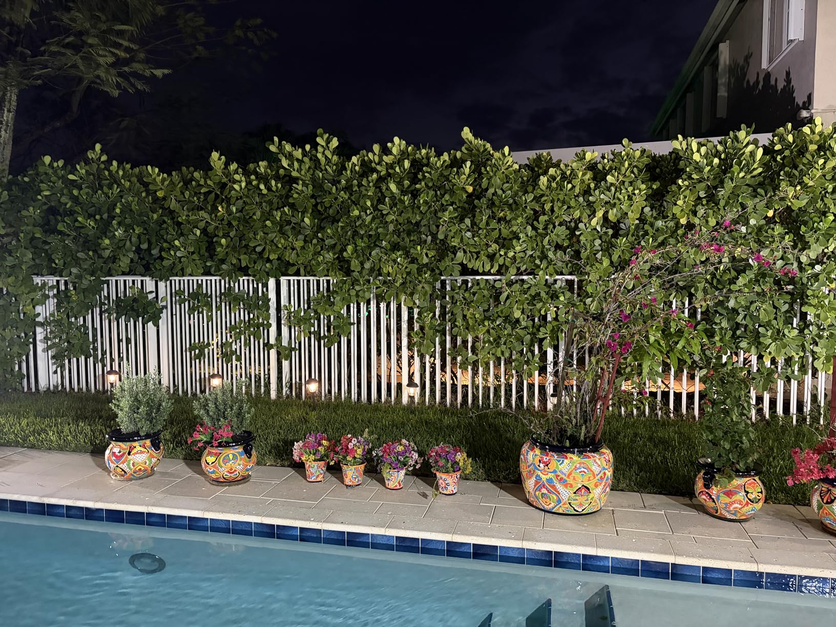 XMCOSY+ Solar Pathway Lights Outdoor, Glass & Stainless Steel Garden Lights with 2 Lighting Modes (10/25 LM), IP65 Waterproof customer photo 2