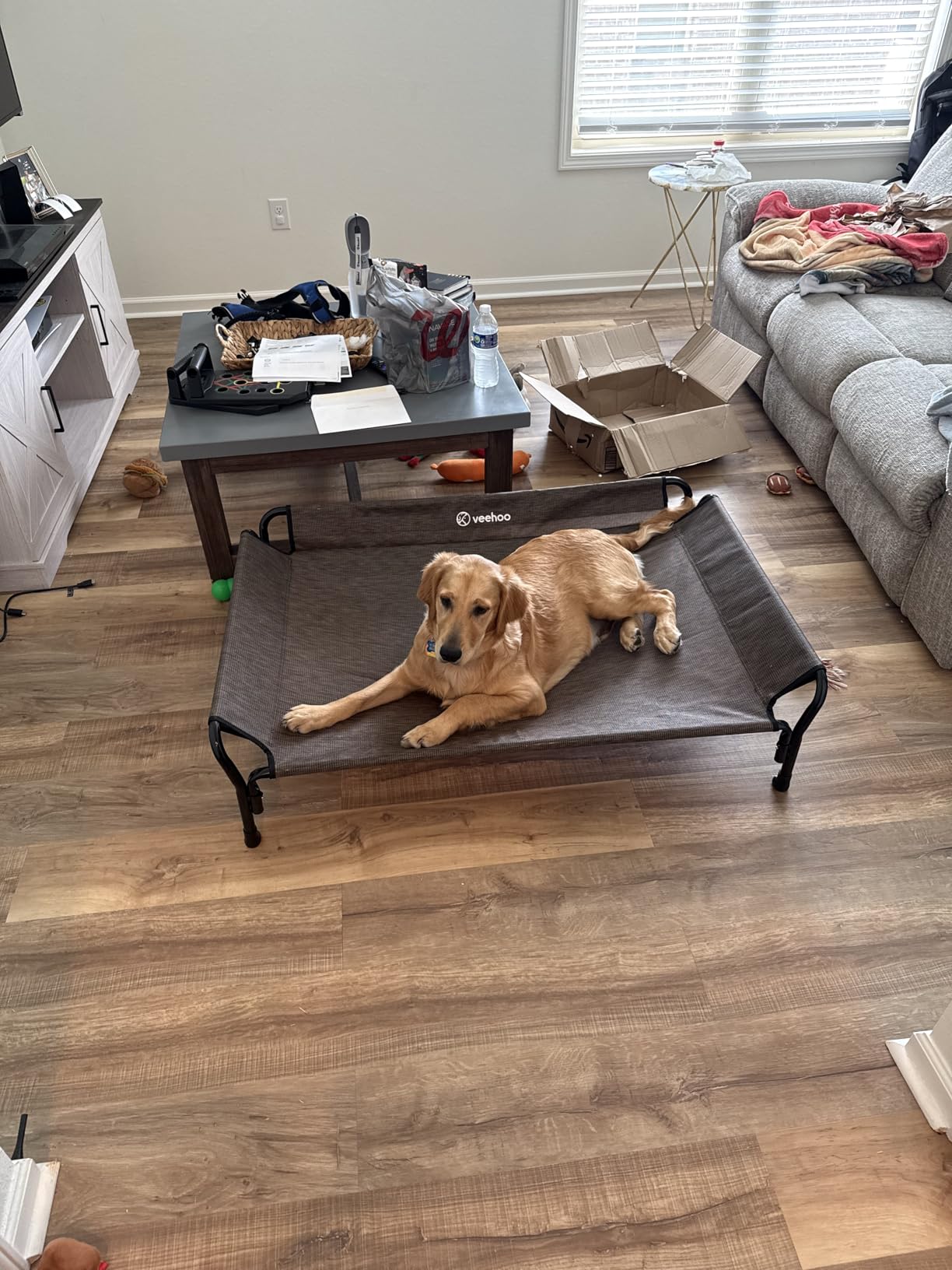 Veehoo Cooling Elevated Dog Bed, Raised Pet Cot with Guardrail & Slope Headrest, Durable & Breathable Teslin Mesh, Non-Slip Feet, Washable Dog Sofa Bed for Indoor & Outdoor, Large 47