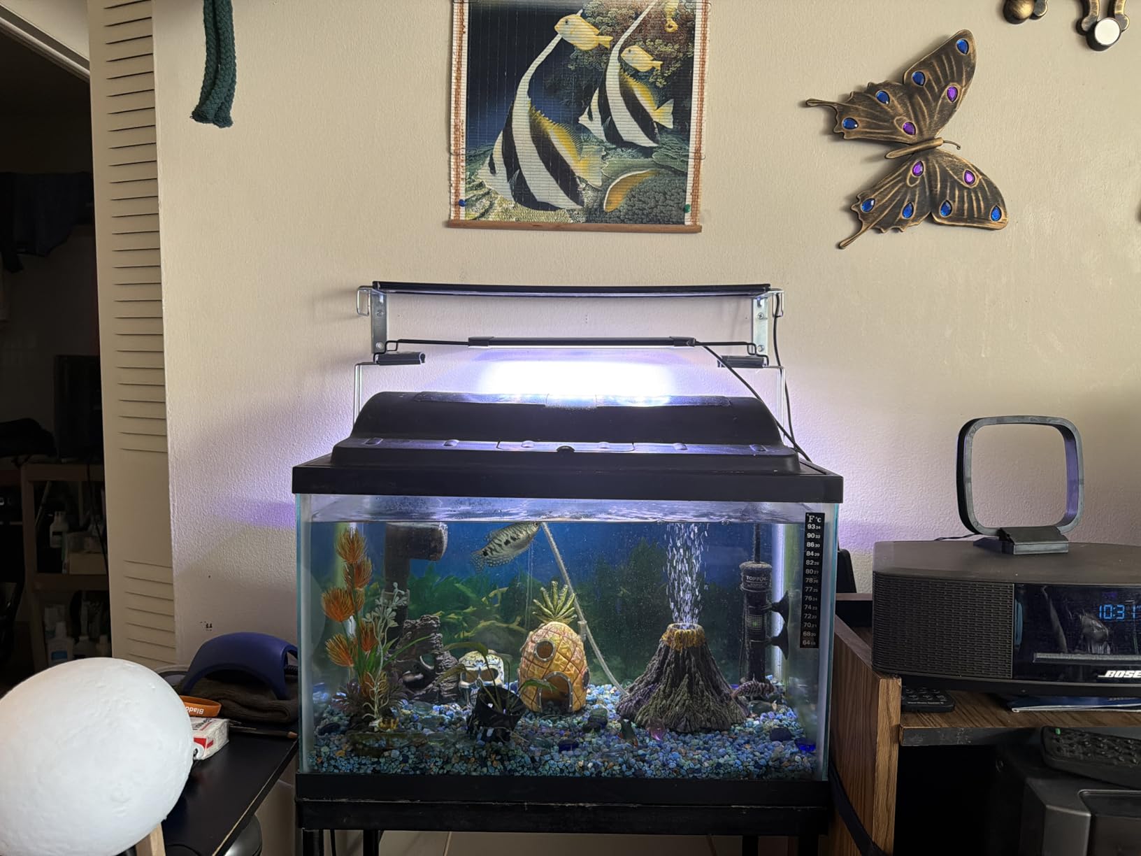 Pawfly 11W Aquarium LED Light for 12 to 18 Inch Fish Tanks Extendable Fish Tank Light with Full Spectrum Brilliant White Blue Red Lights with Daytime & Night Modes and Adjustable Brightness customer photo 1