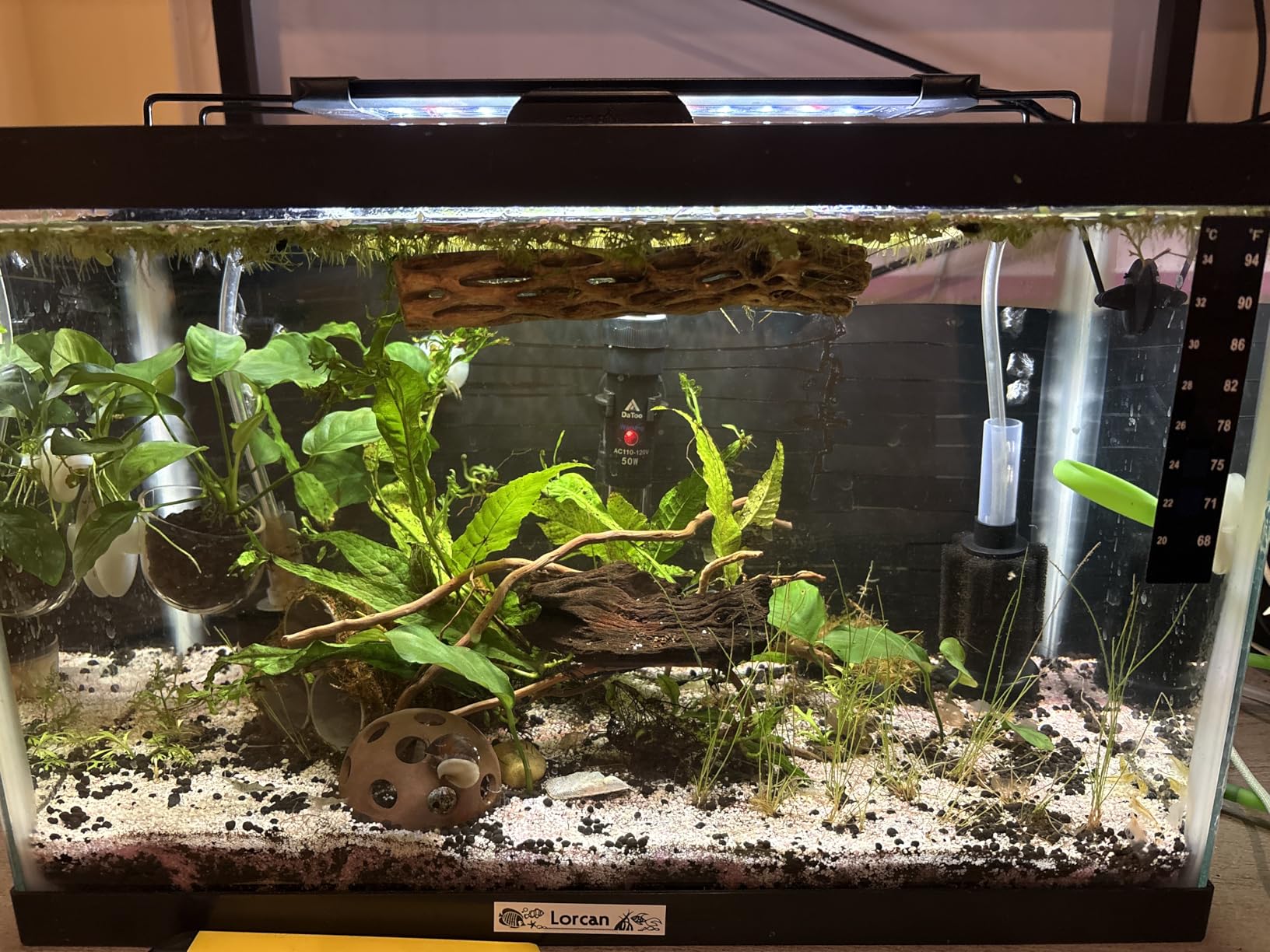 Pawfly 11W Aquarium LED Light for 12 to 18 Inch Fish Tanks Extendable Fish Tank Light with Full Spectrum Brilliant White Blue Red Lights with Daytime & Night Modes and Adjustable Brightness customer photo 2