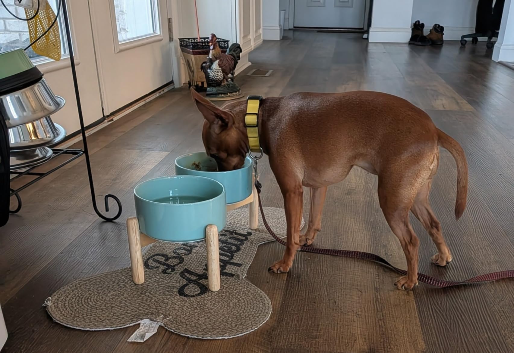 Havniva Ceramic 8.2inch Raised Dog Bowl with Stand for Large-Breed Dogs, Pet Food and Water Feeder (Double Bowl with Stand - Brown Coffee) customer photo 2