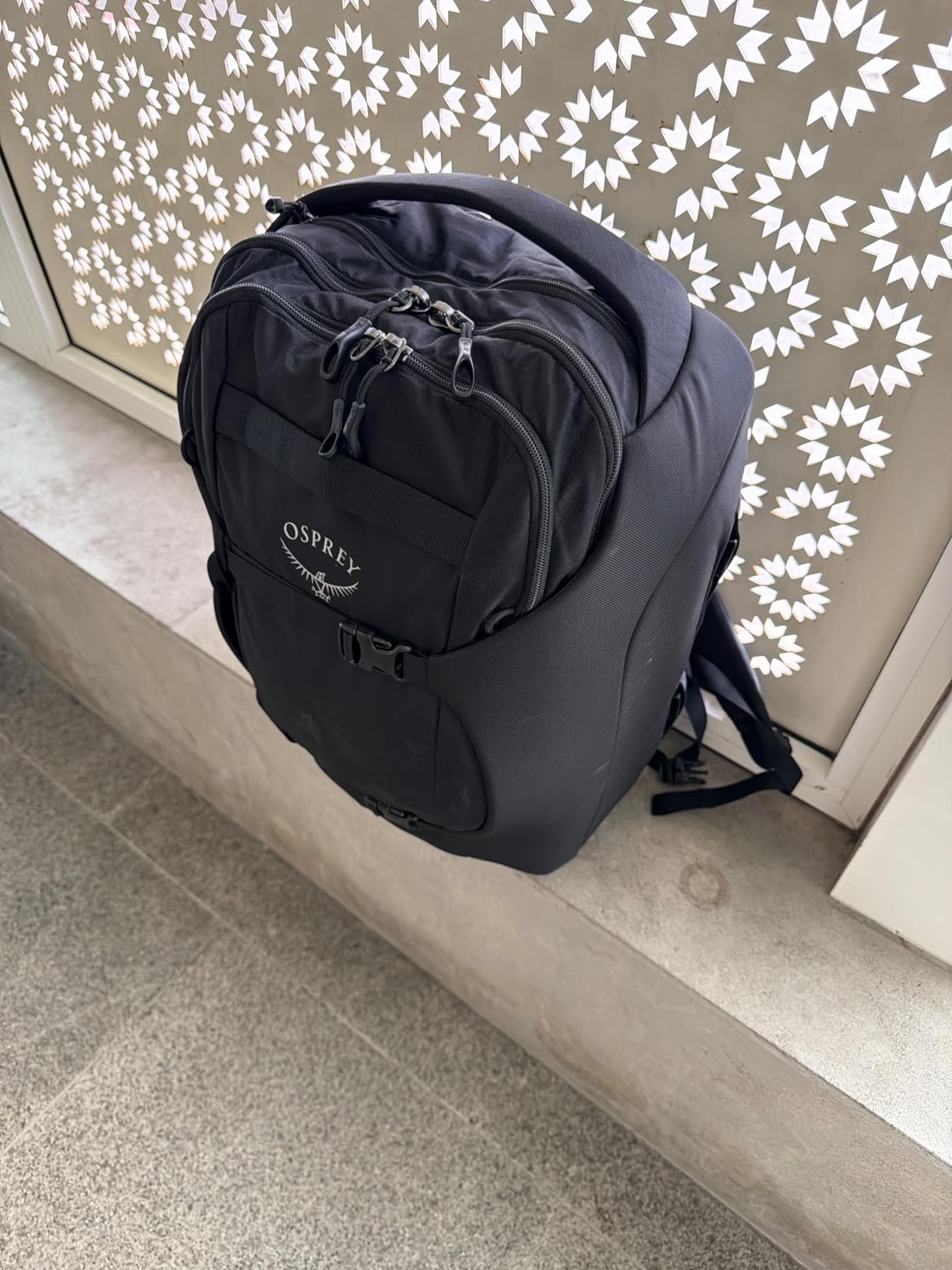 Osprey Sojourn Porter 65L Travel Backpack - Carry-On Compliant Luggage with StraightJacket Compression and Padded Laptop Sleeve - Durable Pack for International or Urban Travel, Koseret Green customer photo 1