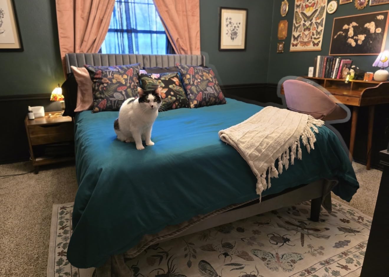 Allewie Queen Size Velvet Bed Frame/Vertical Channel Tufted Wingback Headboard/Upholstered Platform Bed/Strong Wooden Slats/No Box Spring Needed/Easy Assembly/Black customer photo 1