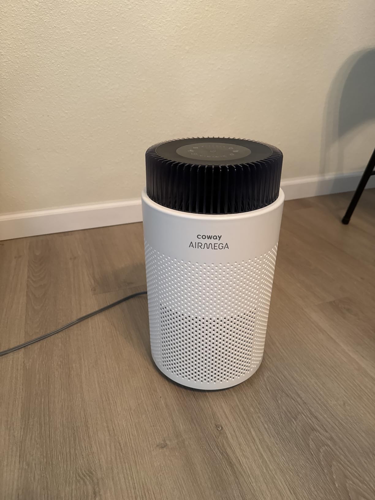 Coway Air Purifiers for Home up to 810 ft², HEPA Filter for Smoke, Allergies, Pet Dander, 100 White customer photo 2