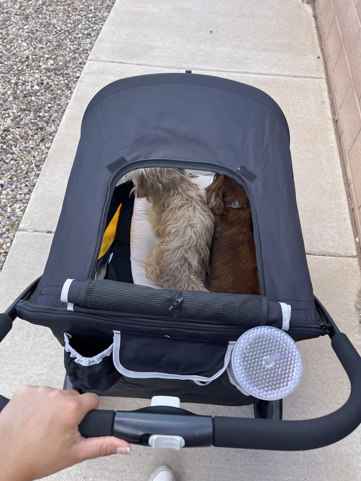 Petbobi Dog Stroller for Large & Medium Dogs - Easy Fold Dual Entry Pet Stroller with One-Foot Brake, All Terrain Wagon Cart with Air Mesh, Ideal for Large Senior Pets up to 80 lbs, Black customer photo 2