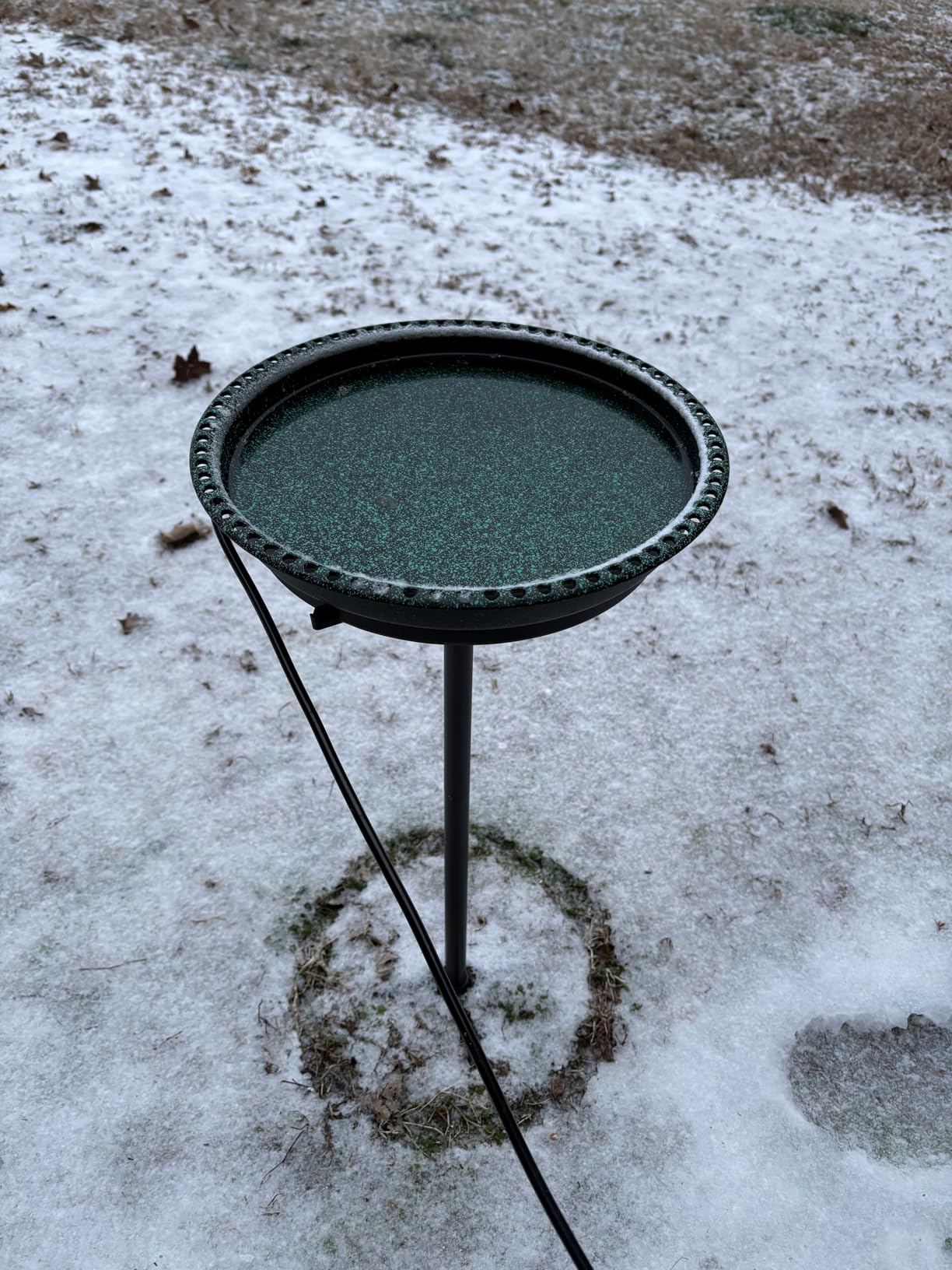 BIRD WISH Heated Bird Bath, Stable 5-Prong Metal Base Thermostat Control Weather Resistance All Seasons Available 75W Heated Bird Baths for Outdoors for Winter Garden Yard Patio Lawn, Spotted Green customer photo 1