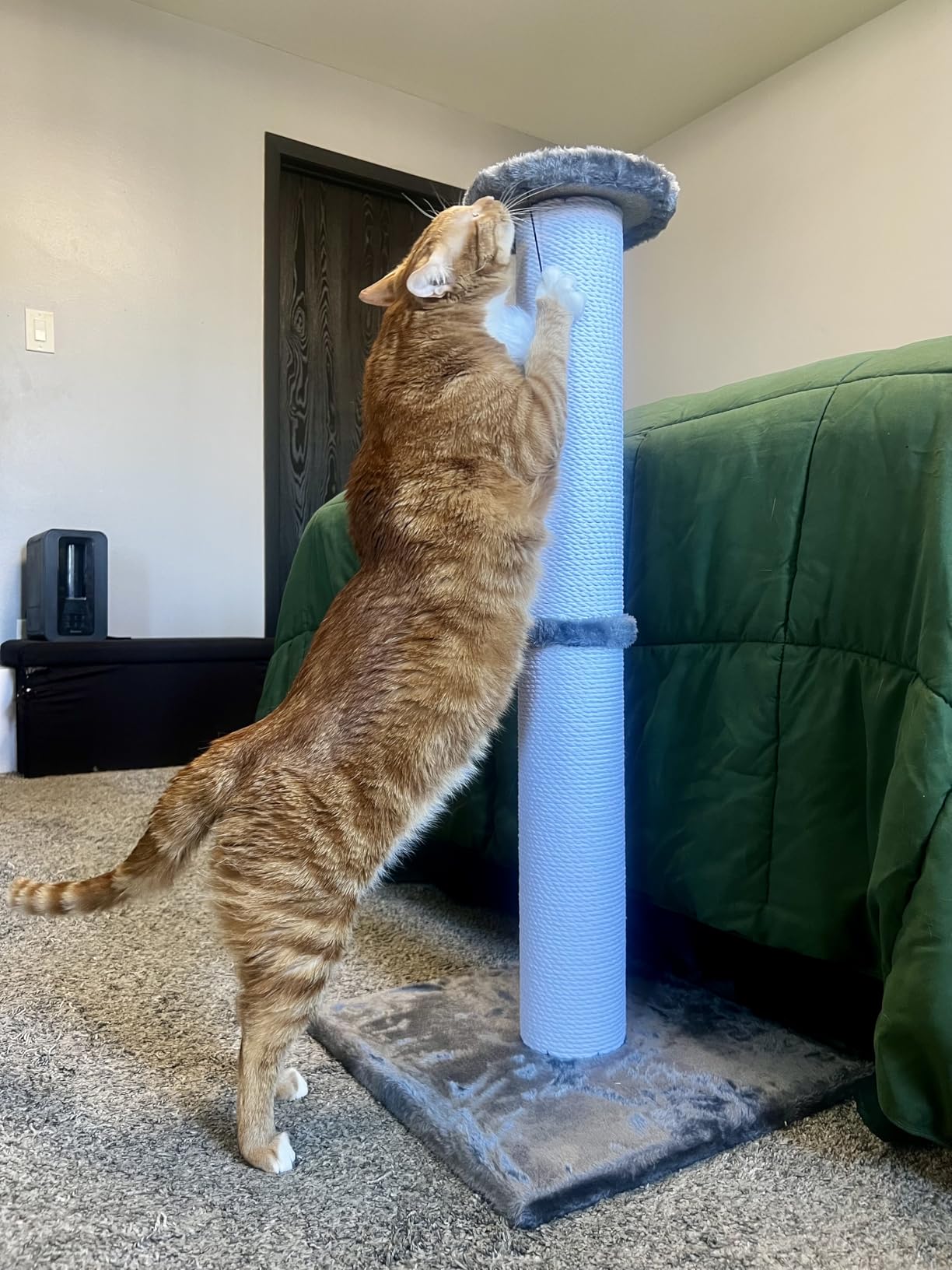Cat Scratching Post 34 Inches Heavy Duty and Thicker Cat Scratching Post Cotton Rope with Hanging Ball and Mice Scratching Post for Indoor Cats and Adult customer photo 1