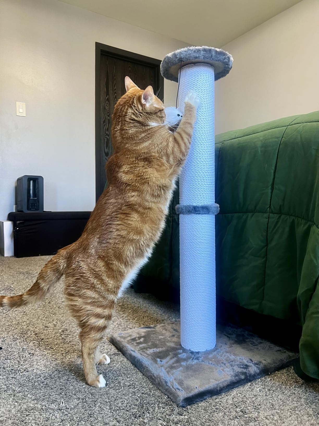 Cat Scratching Post 34 Inches Heavy Duty and Thicker Cat Scratching Post Cotton Rope with Hanging Ball and Mice Scratching Post for Indoor Cats and Adult customer photo 2
