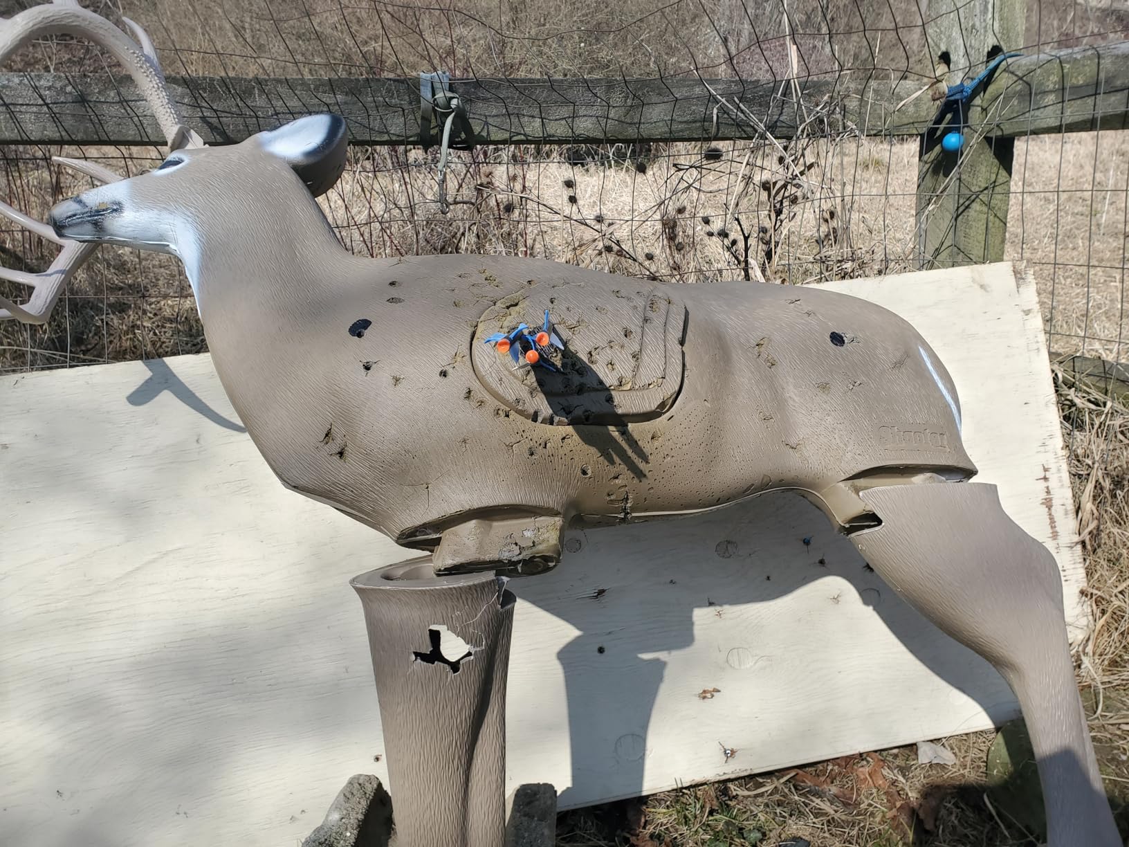 TenPoint Titan 400 Crossbow, Vektra - 400 FPS - Includes Pro-View 400 Scope, ACUdraw Silent Cocking Device and Three Pro Elite 400 Carbon Arrows customer photo 1