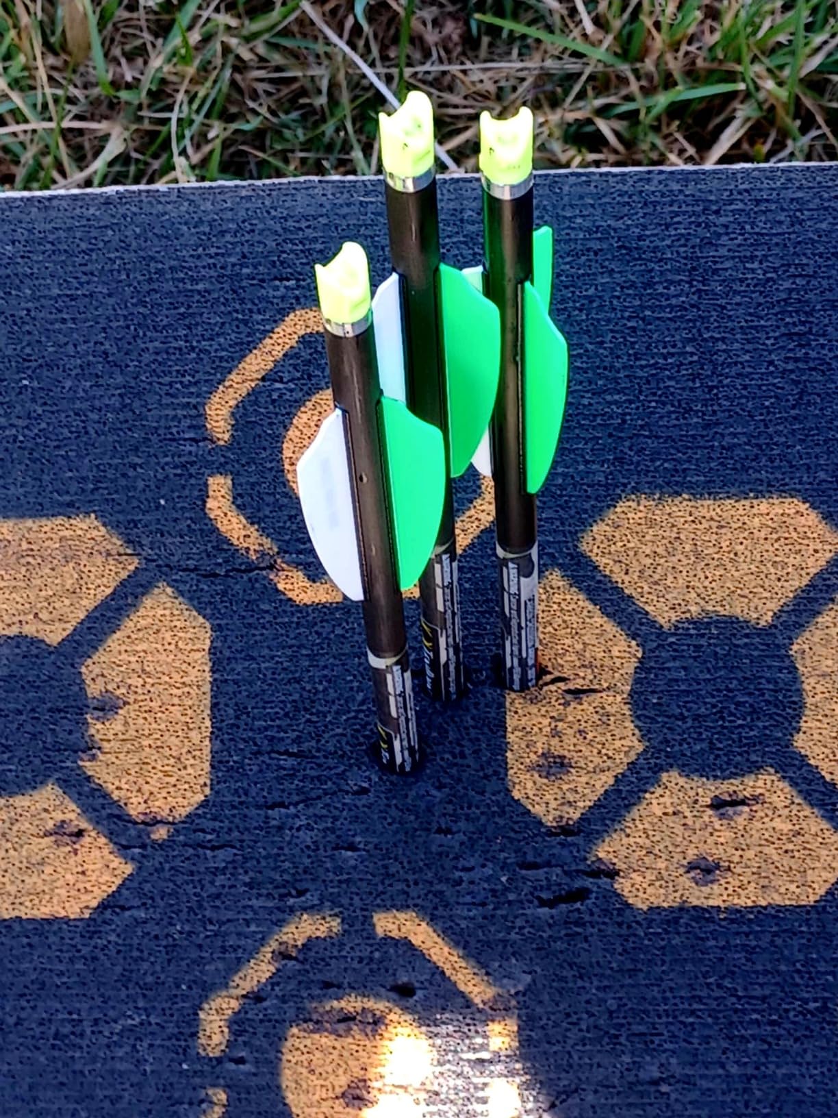 TenPoint Titan 400 Crossbow, Vektra - 400 FPS - Includes Pro-View 400 Scope, ACUdraw Silent Cocking Device and Three Pro Elite 400 Carbon Arrows customer photo 2
