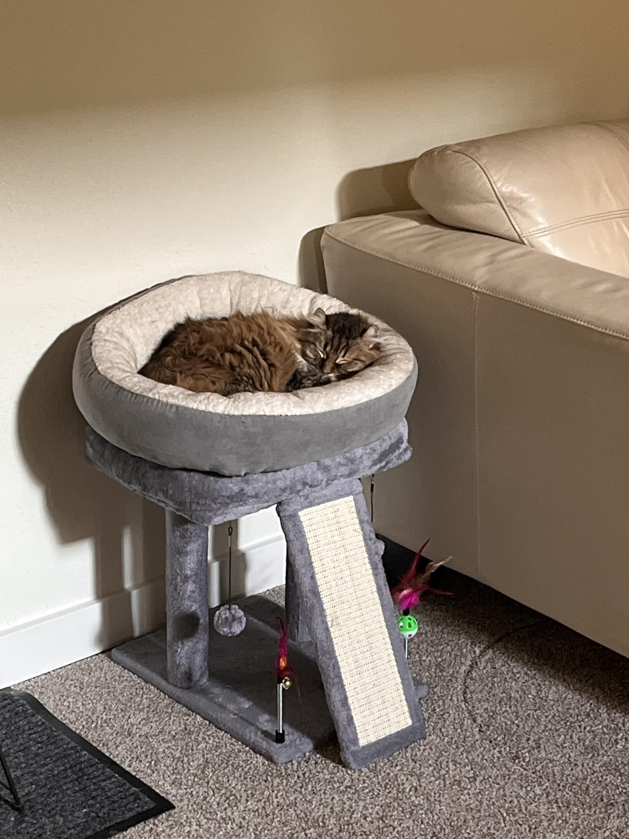 TWDEPART Cat Tree Tower with Cat Scratching Post for Indoor Cats, Activity Centre Climbing Tree with Scratching Board and Playful Toy Balls, Grey customer photo 1