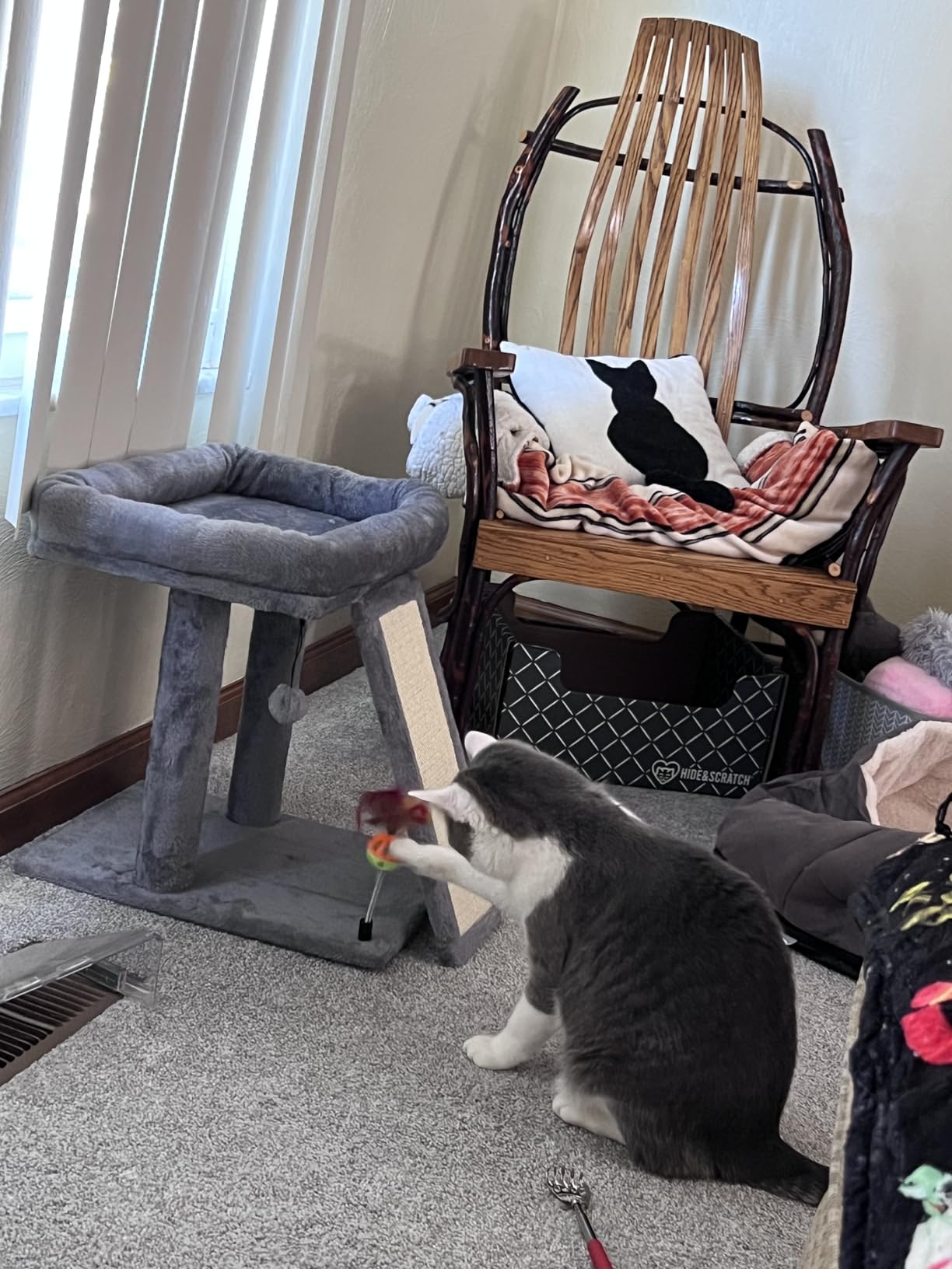 TWDEPART Cat Tree Tower with Cat Scratching Post for Indoor Cats, Activity Centre Climbing Tree with Scratching Board and Playful Toy Balls, Grey customer photo 2