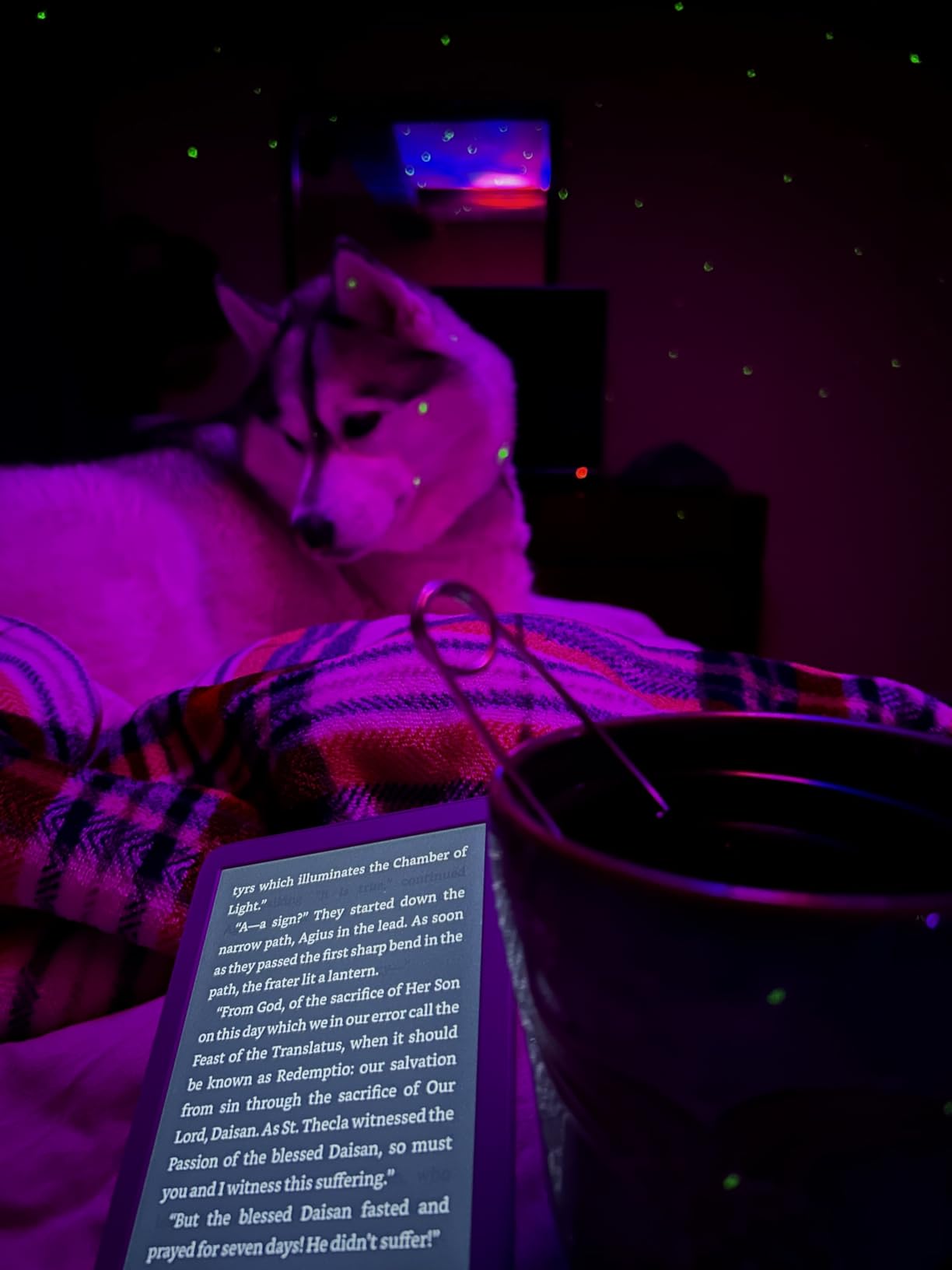 Amazon Kindle 16 GB (2024) - Lightest and most compact Kindle, now with faster page turns, and higher contrast ratio - Matcha customer photo 2