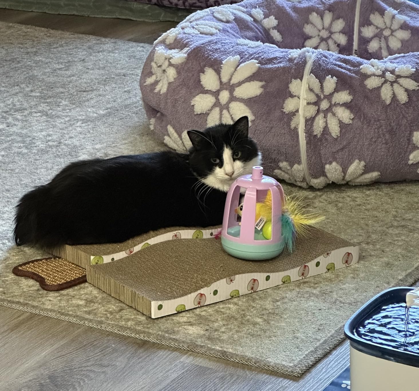 TIMHAKA Cat Scratching Board, Corrugate Cat Scratcher for Indoor Cats with Catnip (Pack of 2) customer photo 2